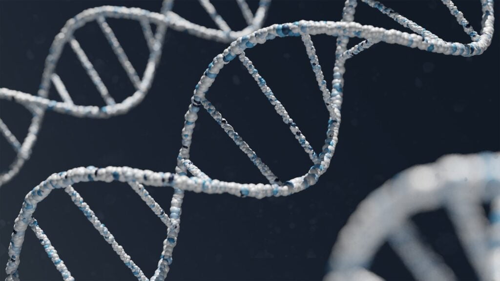 ein Maschendrahtzaun, Lachs-DNA-Behandlung