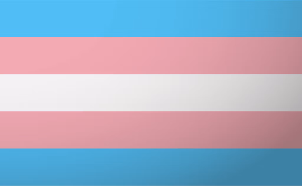 Transgender gurur bayrağı, iki açık mavi, iki pembe ve ortada bir beyaz olmak üzere beş yatay şeritten oluşmaktadır.
