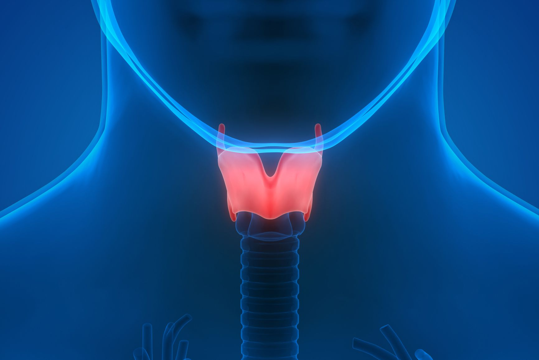 Medical illustration of the thyroid gland with a highlighted section, set against a blue background, focusing on the neck area with the spine and surrounding structures visible.
