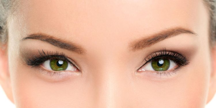 Chirurgie des yeux de renard Chirurgie des yeux de chat