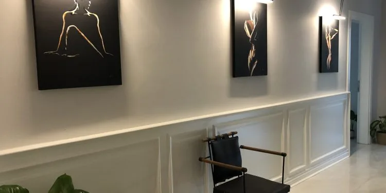 Un pasillo con tres obras de arte abstracto colgadas en la pared, cada una iluminada por luces individuales. La obra presenta diseños minimalistas y monocromáticos. Una silla negra con reposabrazos de madera se apoya contra la pared, y una gran planta verde se sitúa en primer plano. El pasillo tiene revestimiento de madera blanco y suelo de color claro.
