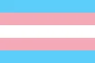 Trans Pride-vlag met vijf horizontale strepen: lichtblauw, roze, wit, roze en lichtblauw.